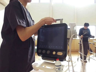 Sonimage MX1 Platinum